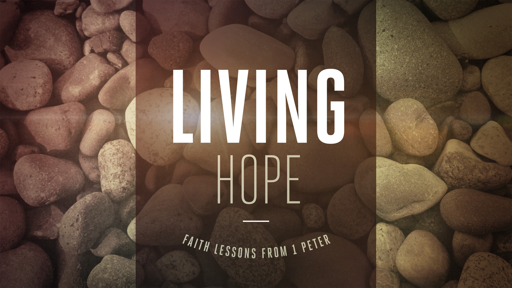 Living Hope: faith lessons from 1 Peter | News and Events | Altamesa